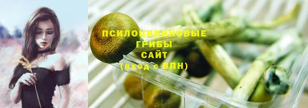 скорость Белокуриха
