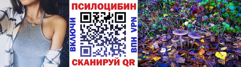 даркнет сайт Бокситогорск Галлюциногенные грибы Psilocybine cubensis